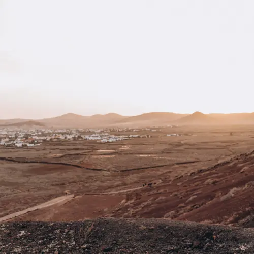 Lajaresla olivalajares_result